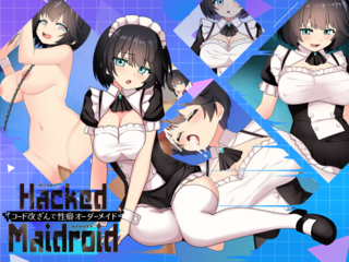 HackedMaidoroid ~コード改ざんで性癖オーダーメイド～のゲーム画面「パッケージ」